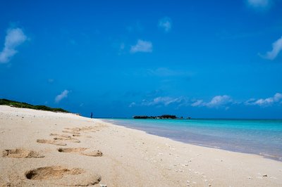 🏖️ 니시하마 비치
